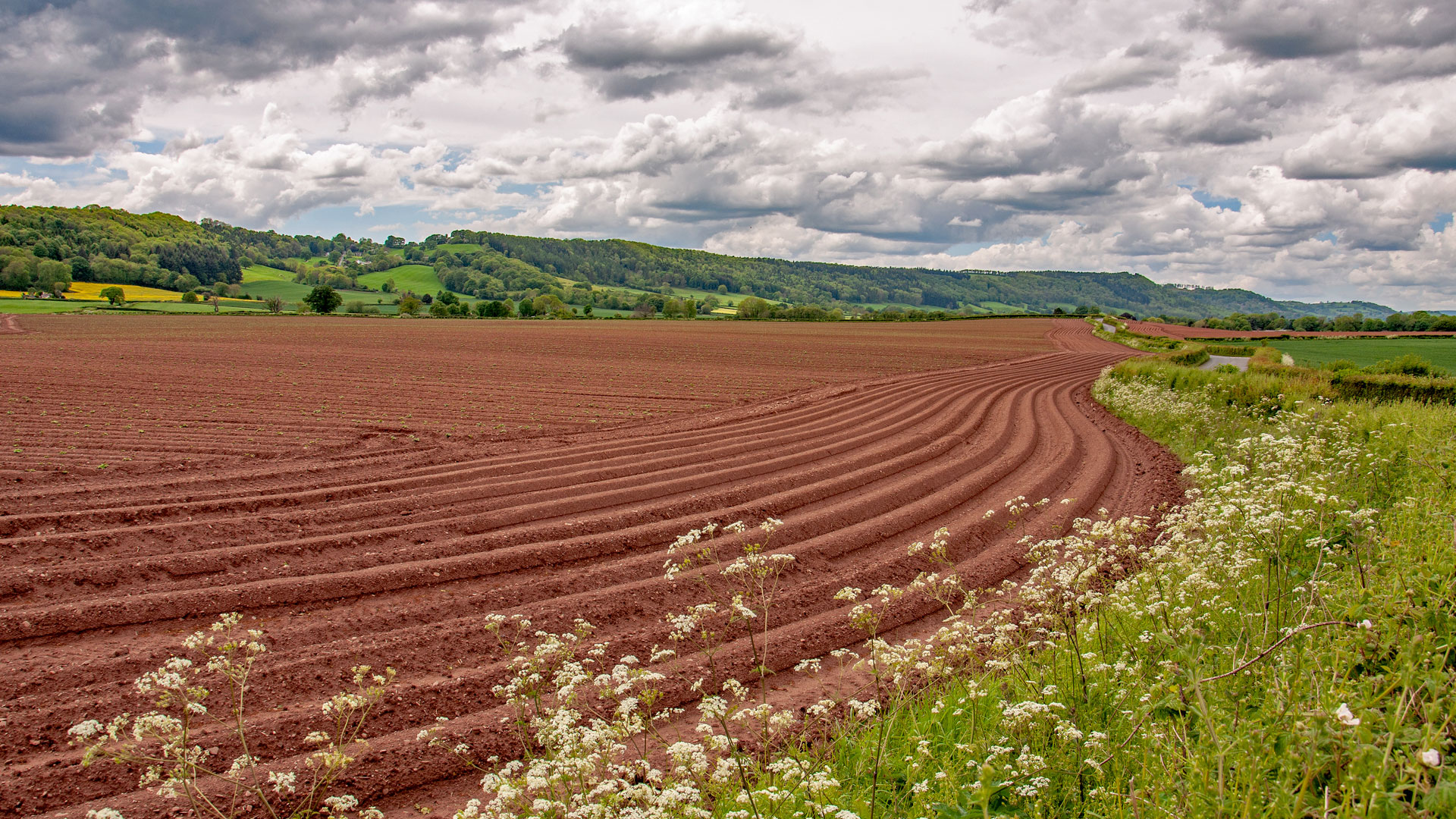 Photo of a farm field